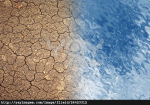 dry-land-and-water-177d040
